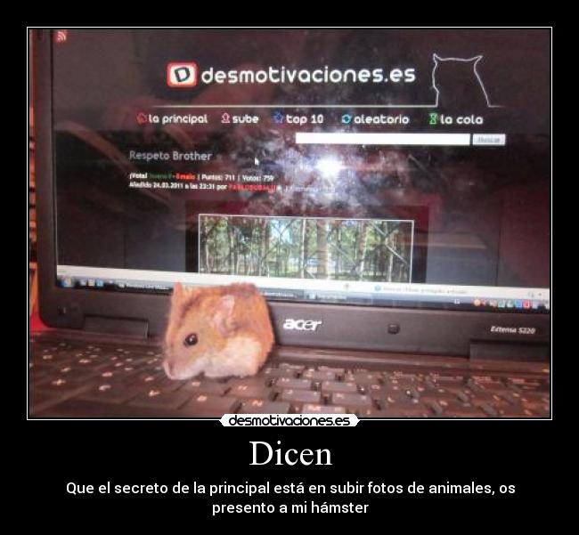 Dicen - Que el secreto de la principal está en subir fotos de animales, os
presento a mi hámster