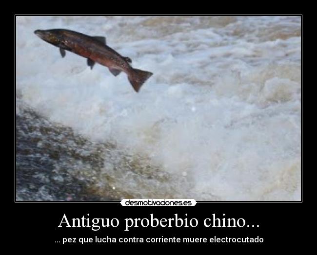 Antiguo proberbio chino... -