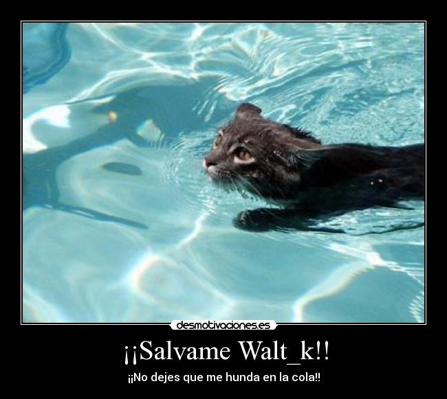 carteles sanny desmotivaciones