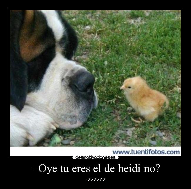 +Oye tu eres el de heidi no? -