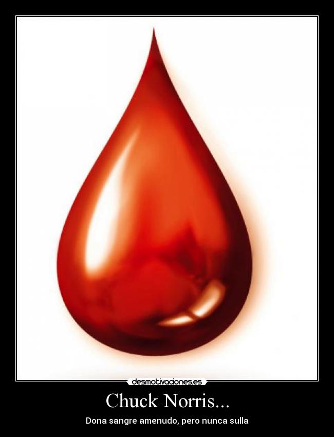 Chuck Norris... - Dona sangre amenudo, pero nunca sulla