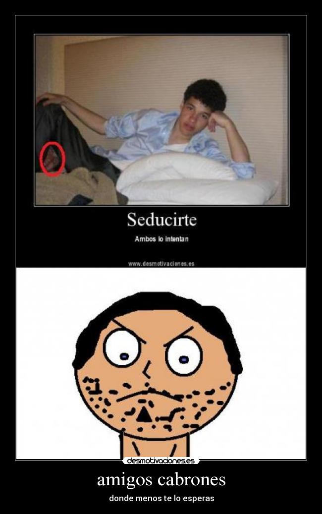 amigos cabrones - 