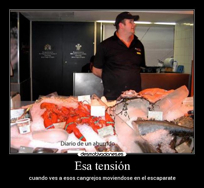 Esa tensión - 