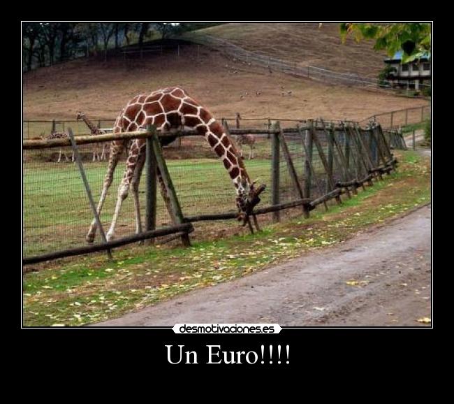 Un Euro!!!! -