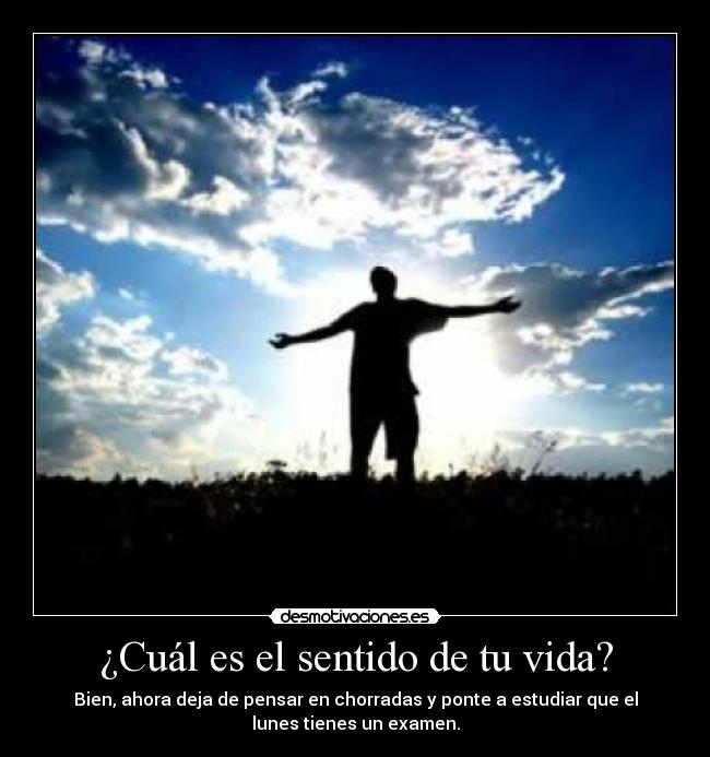 ¿Cuál es el sentido de tu vida? - Bien, ahora deja de pensar en chorradas y ponte a estudiar que el
lunes tienes un examen.