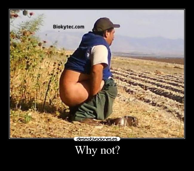 Why not? - 