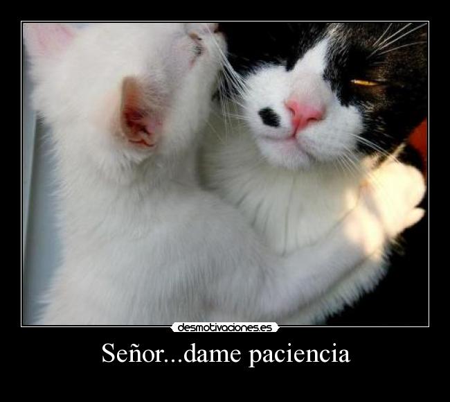 Señor...dame paciencia - 
