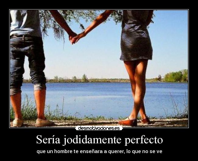 Sería jodidamente perfecto - que un hombre te enseñara a querer, lo que no se ve