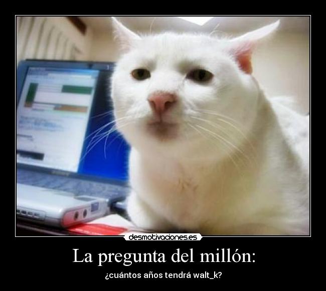 carteles walt_k edad pregunta del millon desmotivaciones