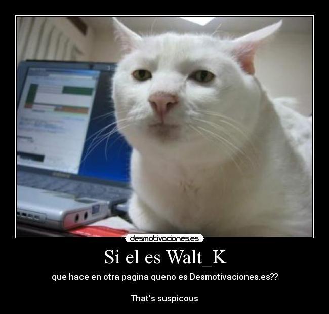 Si el es Walt_K - 