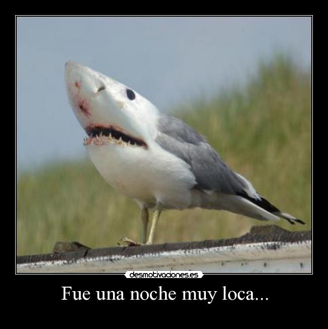 Fue una noche muy loca... -
