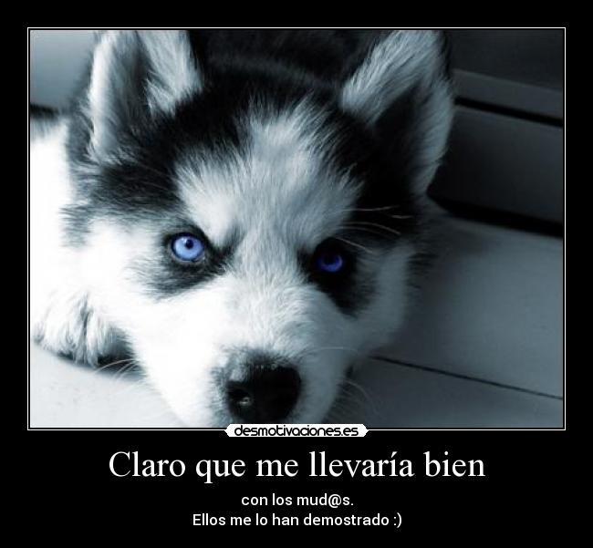 Claro que me llevaría bien - con los mud@s.
Ellos me lo han demostrado :)