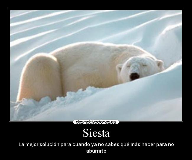 carteles siesta desmotivaciones