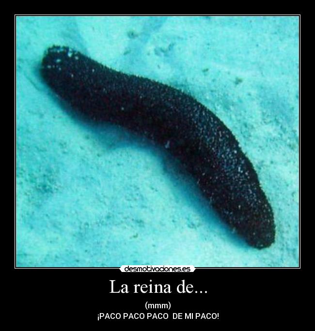 carteles tags desmotivaciones