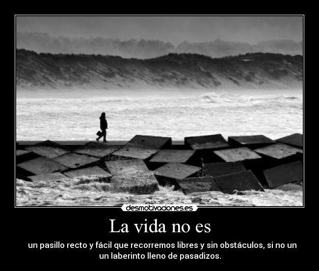 La vida no es -     un pasillo recto y fácil que recorremos libres y sin obstáculos, si no un 
un laberinto lleno de pasadizos.