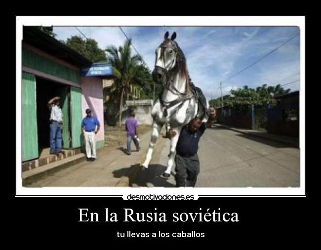 carteles rusia sovietica caballos principal desmotivaciones