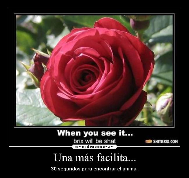 carteles foto desmotivaciones