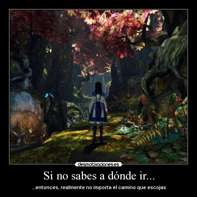 Si no sabes a dónde ir... - ...entonces, realmente no importa el camino que escojas