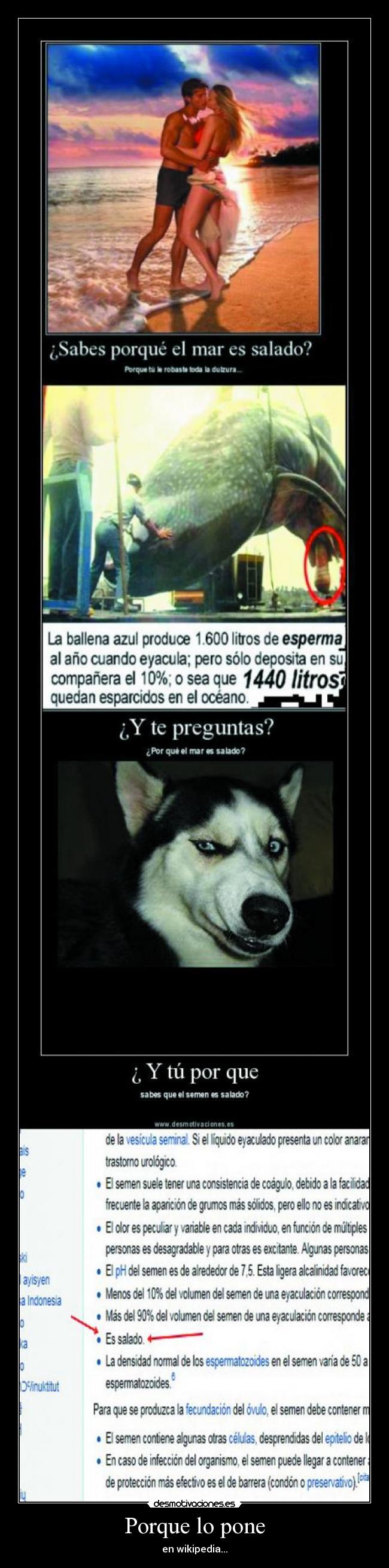 Porque lo pone - en wikipedia...