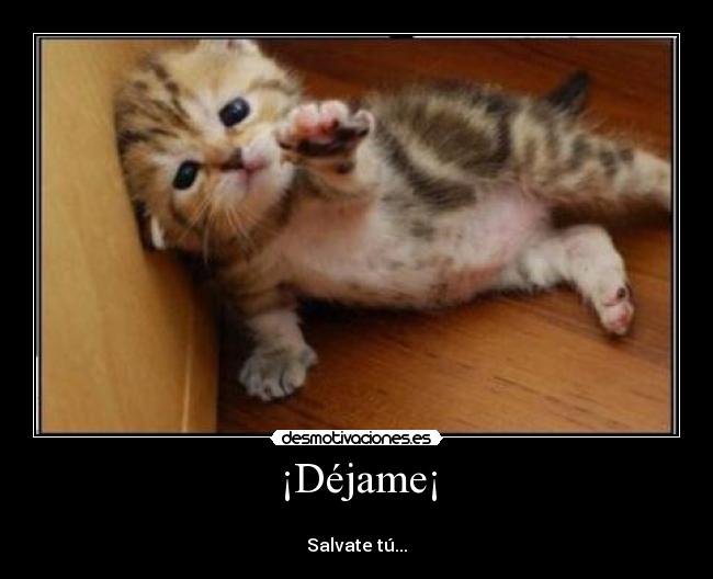 ¡Déjame¡ - 