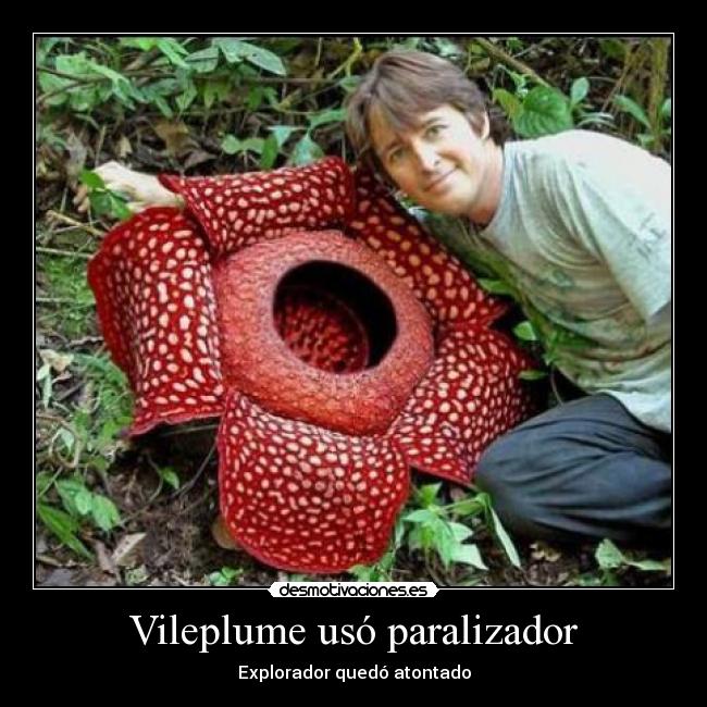 Vileplume usó paralizador - 