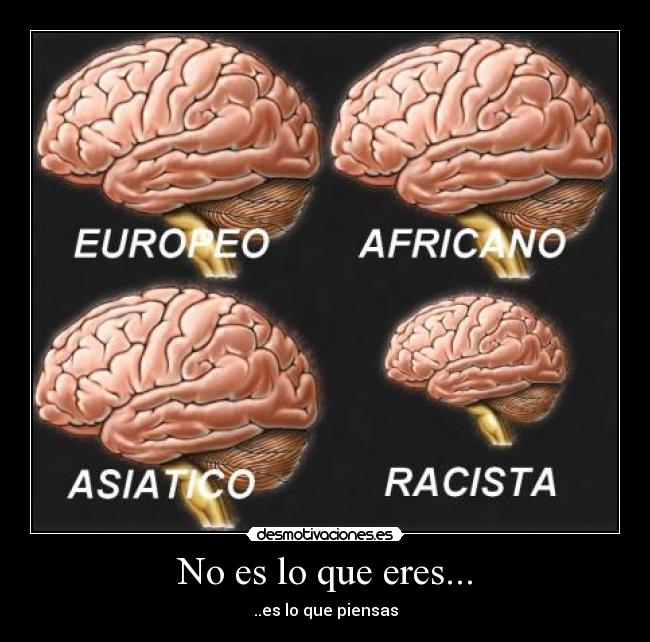carteles racismo ferminelfiero desmotivaciones