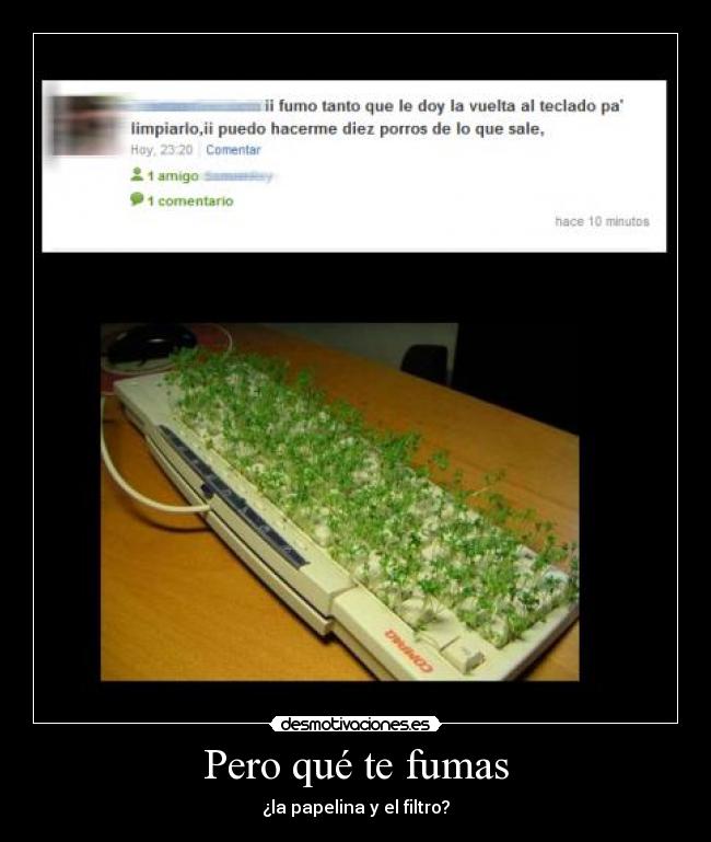 Pero qué te fumas - 