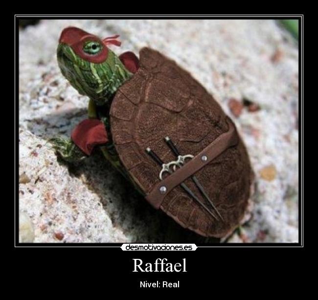 Raffael - 