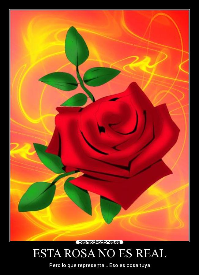 ESTA ROSA NO ES REAL - Pero lo que representa... Eso es cosa tuya
