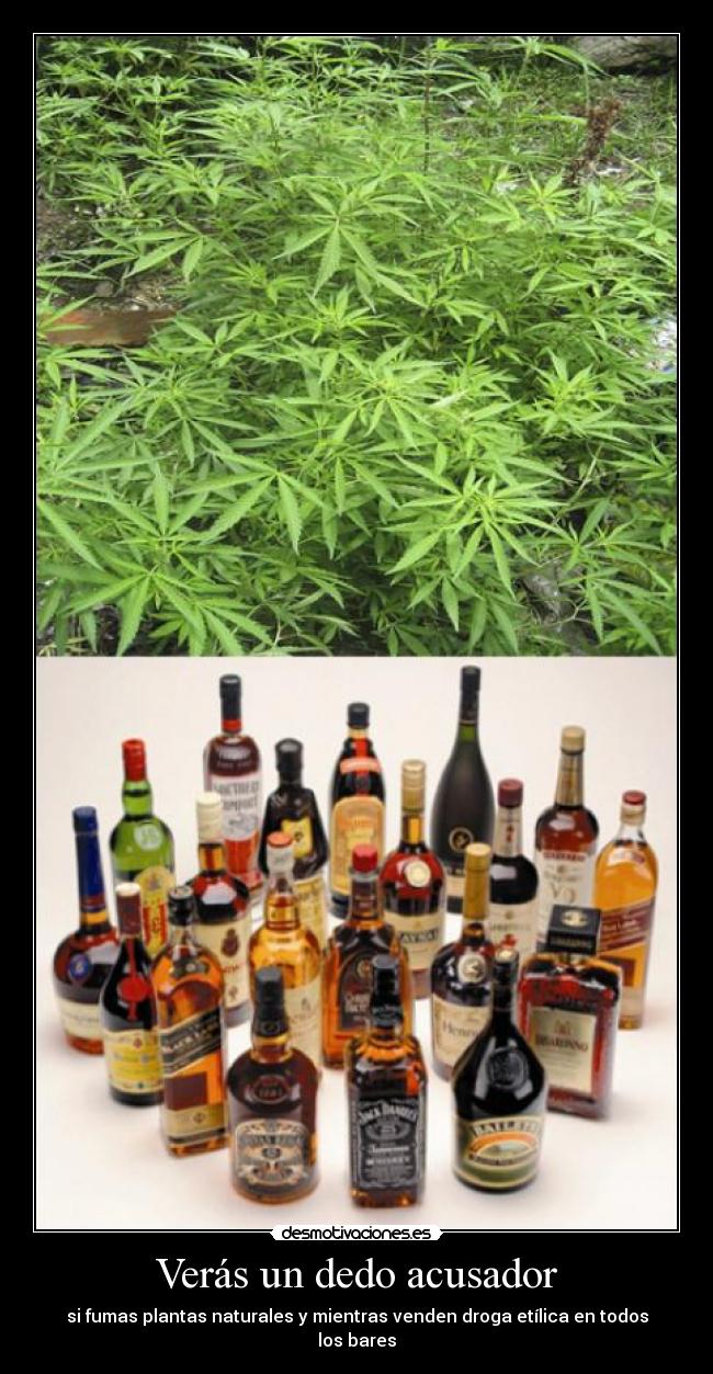 Verás un dedo acusador - si fumas plantas naturales y mientras venden droga etílica en todos los bares