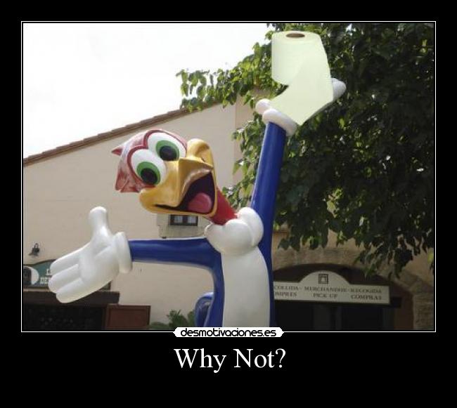 Why Not? -