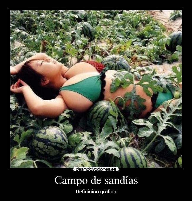 carteles sandias desmotivaciones