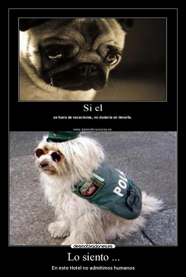 Lo siento ... - En este Hotel no admitimos humanos