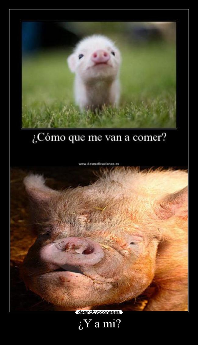 ¿Y a mi? -