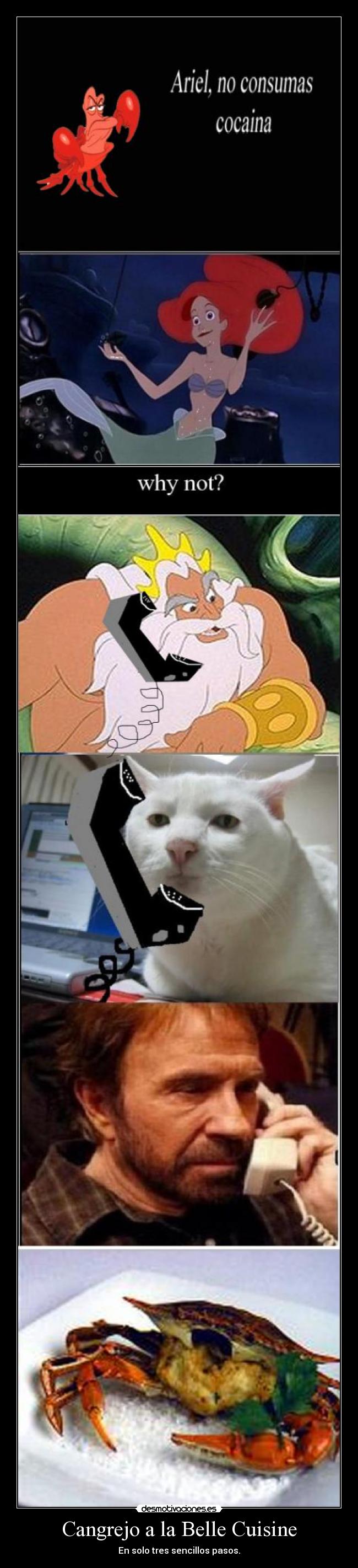 Cangrejo a la Belle Cuisine - En solo tres sencillos pasos.