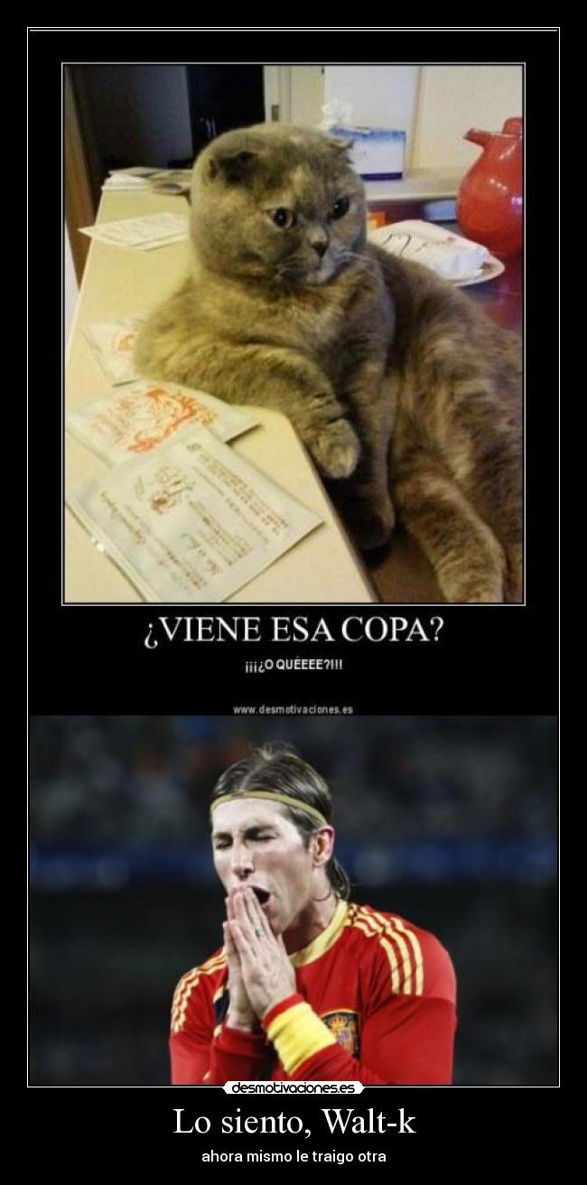 Lo siento, Walt-k - 