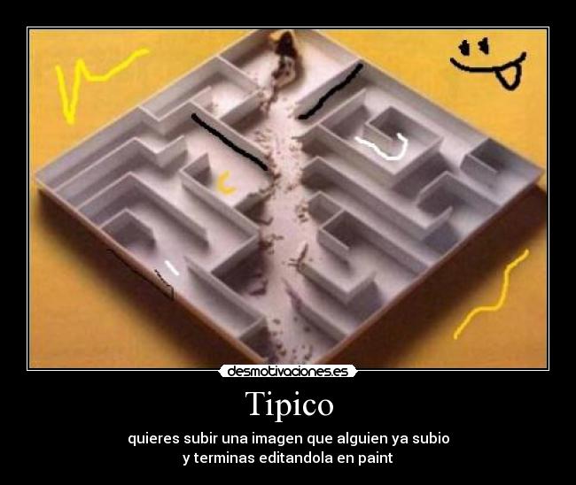 Tipico - 