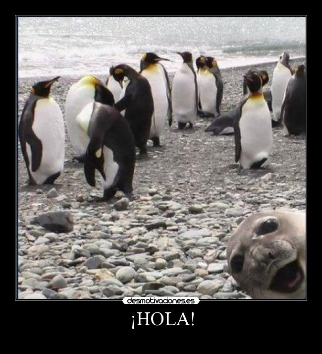 ¡HOLA! - 