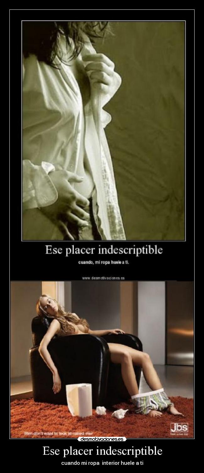carteles ese placer indescriptible desmotivaciones