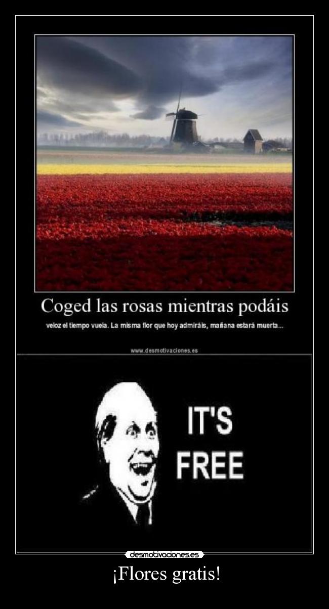 ¡Flores gratis! - 