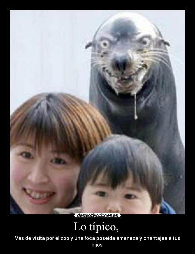 Lo típico, - Vas de visita por el zoo y una foca poseída amenaza y chantajea a tus hijos
