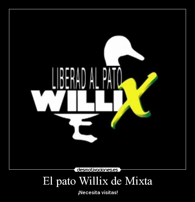 El pato Willix de Mixta -