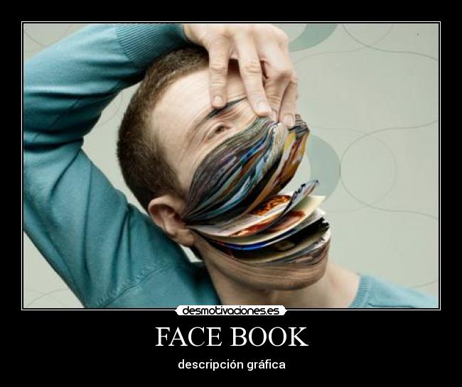 FACE BOOK - descripción gráfica