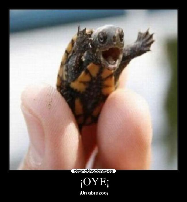 ¡OYE¡ - ¡Un abrazoo¡