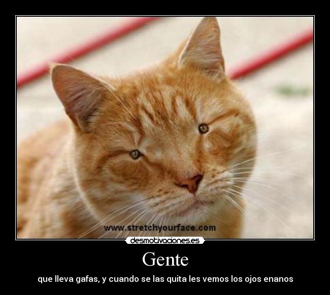 Gente - 