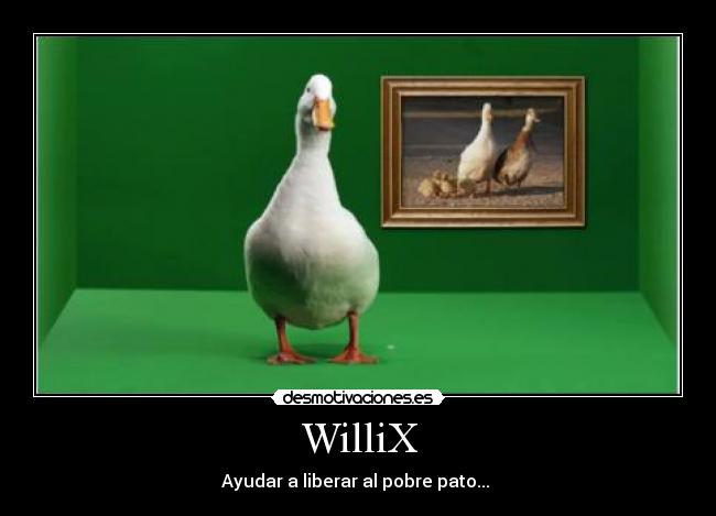 WilliX -