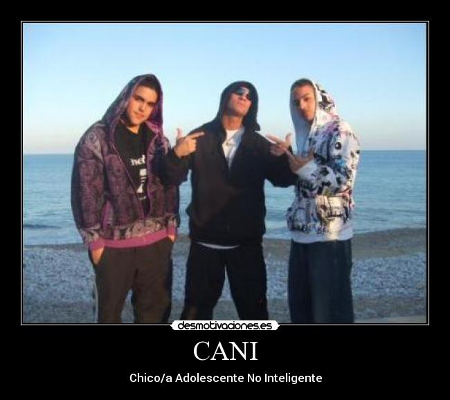 CANI - Chico/a Adolescente No Inteligente