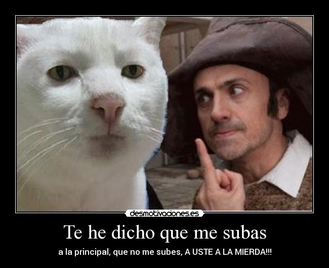 Te he dicho que me subas - a la principal, que no me subes, A USTE A LA MIERDA!!!