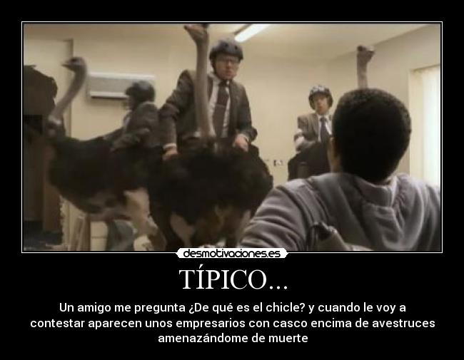 TÍPICO... - Un amigo me pregunta ¿De qué es el chicle? y cuando le voy a
contestar aparecen unos empresarios con casco encima de avestruces
amenazándome de muerte