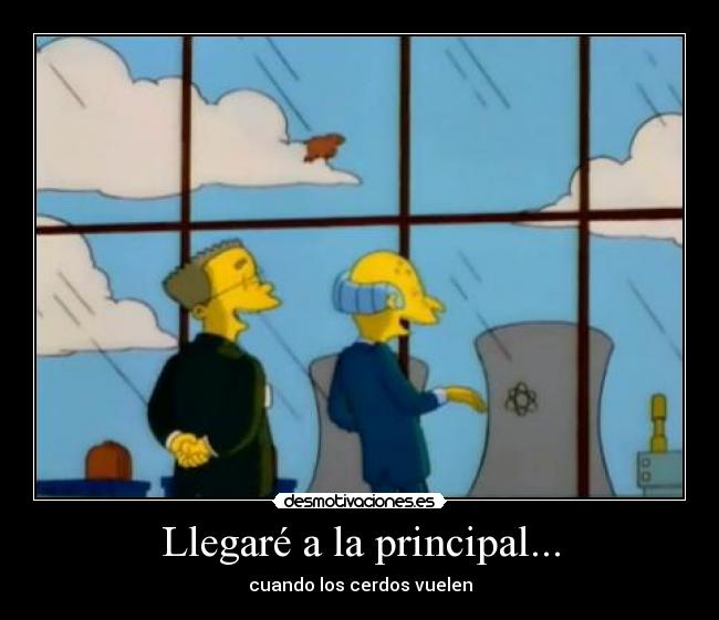 Llegaré a la principal... - cuando los cerdos vuelen